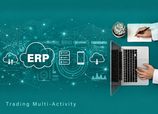 Business Management ERP Plan (Trading / Multi-Activity)